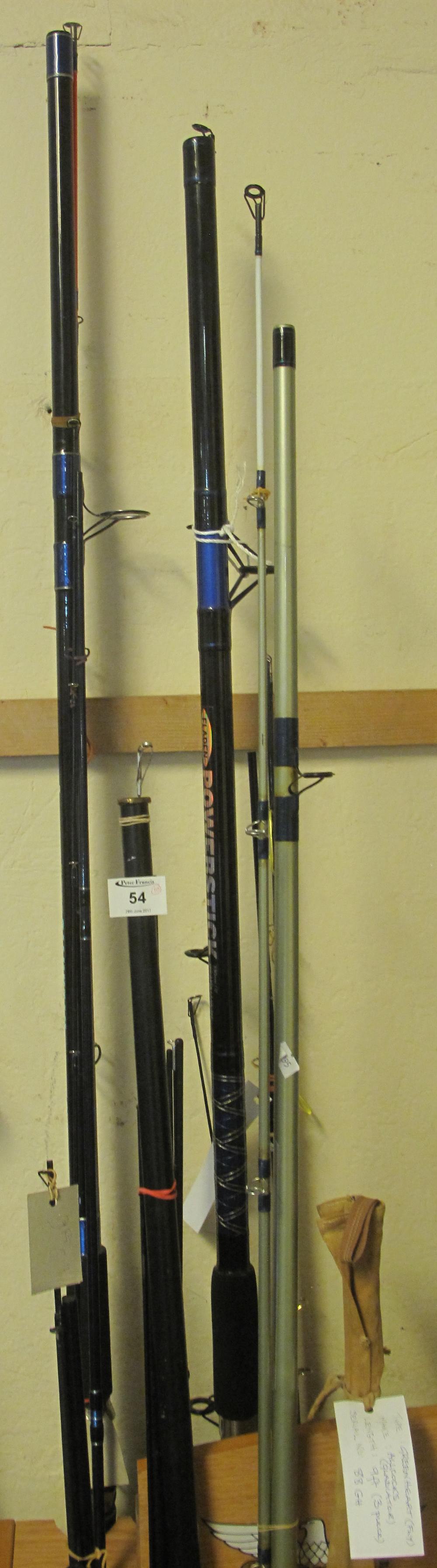 Group of ten assorted, mainly modern fly and beach casting rods, various,