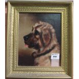 British school (19th Century) study of a dog entitled 'Leo' verso, oils on canvas. Framed. (B.P.