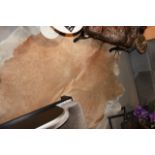 Cow Hide natural skin rug in beige and white copper skin these light cowhide rugs have a cool and
