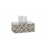 Box neat white brown lip white kabibe and beige paua shell and stainless steel polished tissue