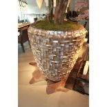 Vase Radica Brown Lip Shell Gladiator Brown with plant, this is a stunning piece and a real focal