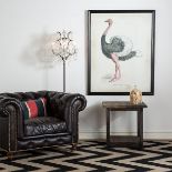 Animal Ostrich 36x48" Flat Black Wood 130.2 X 3 X 102.3cm