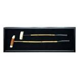 Polo Sticks Shadow Box 122 X 7 X 44cm Exact Replicas Of Vintage Curiosities Mounted On Black