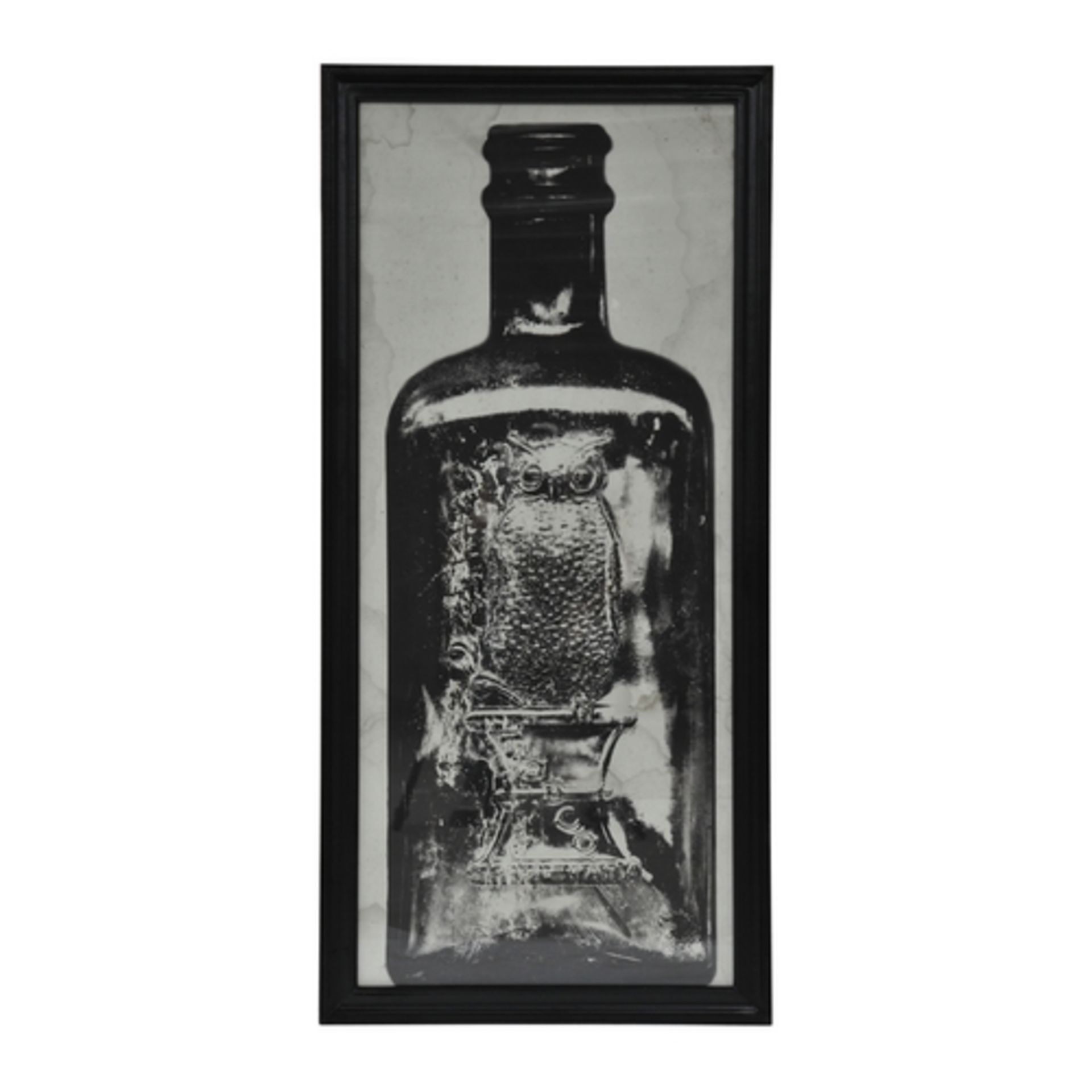 Graphics Copper Bottle Art Work 1 in Black Wood Frame 59 X 3 X 130 5cm