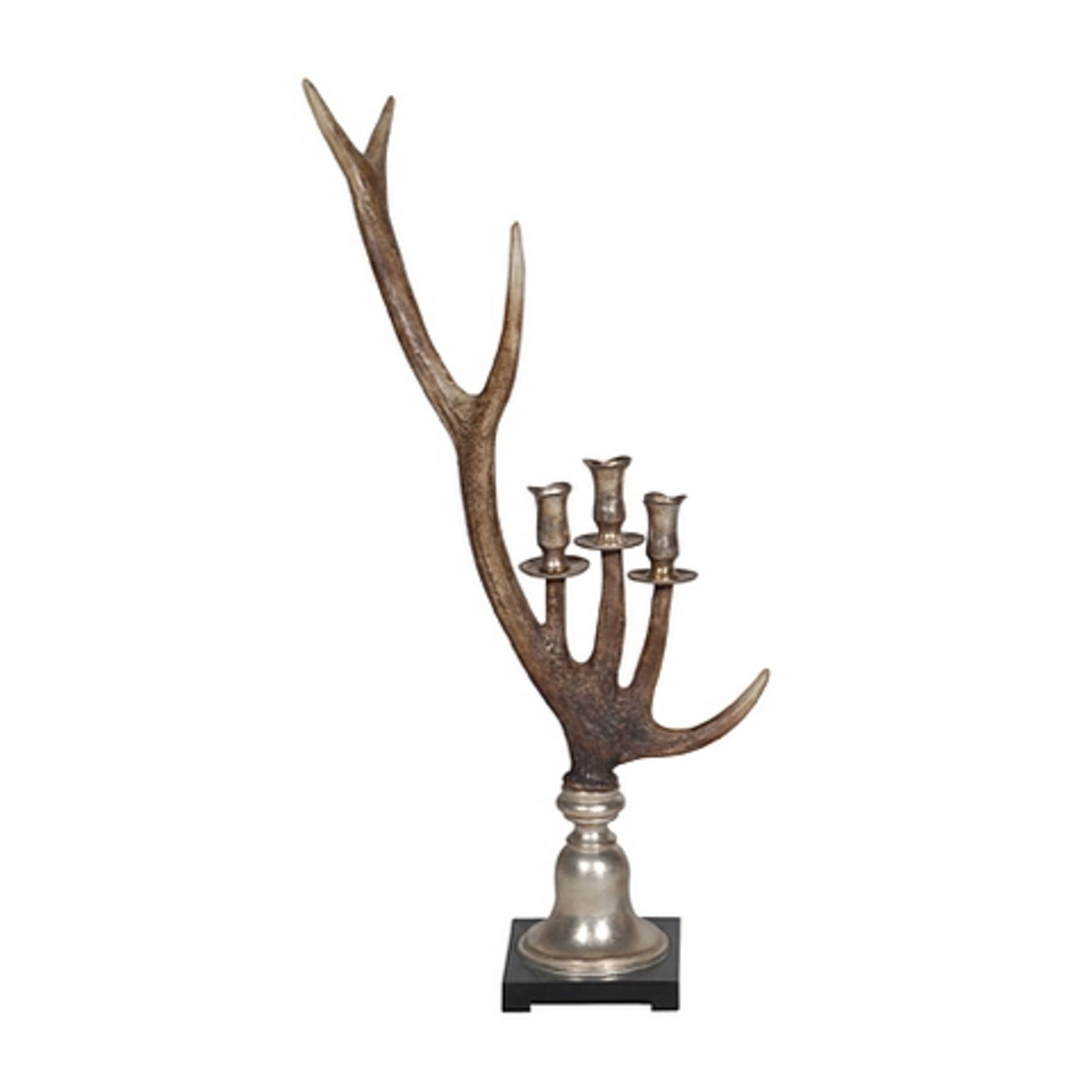 A pair of Antler Candle Holders