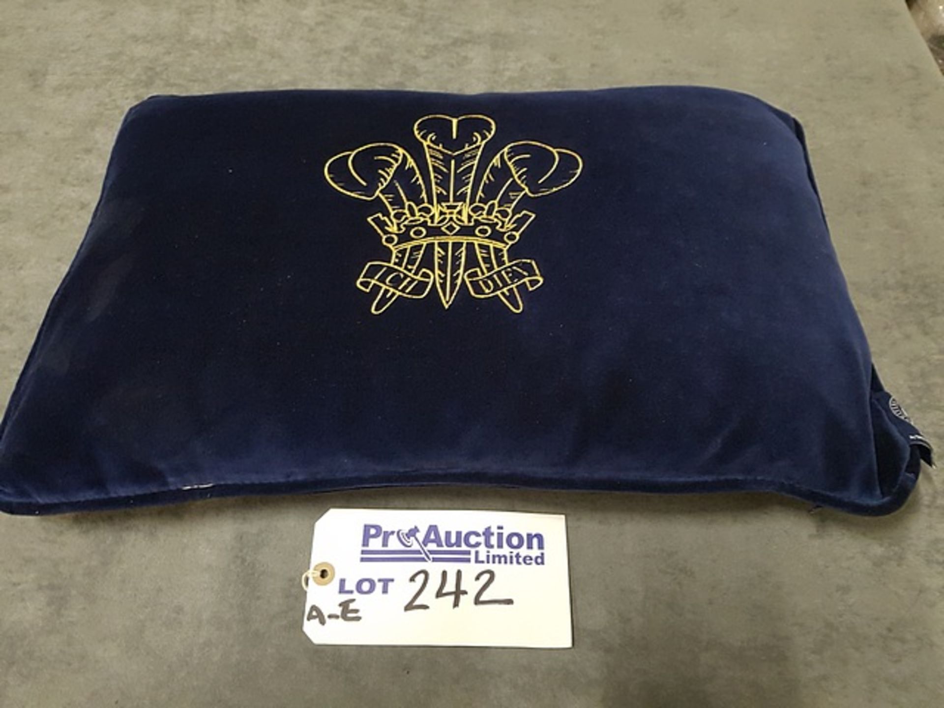 Cushion(60x40) Sp N W/G Pis Cst(X1) 60x40x15cm RRP £ 84