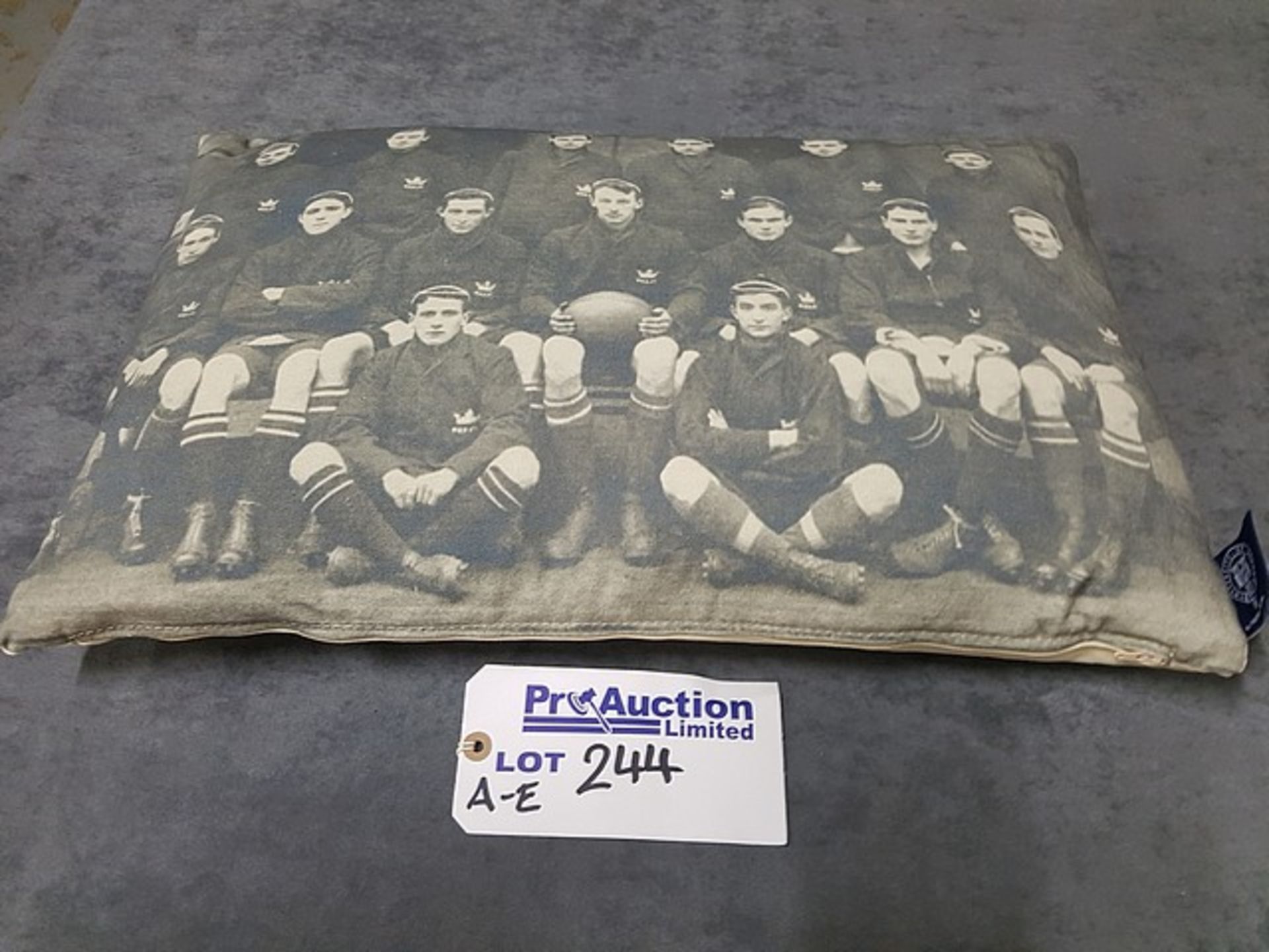 Cushion(60x40) Rugby(X1) 60x40x15cm RRP £ 66