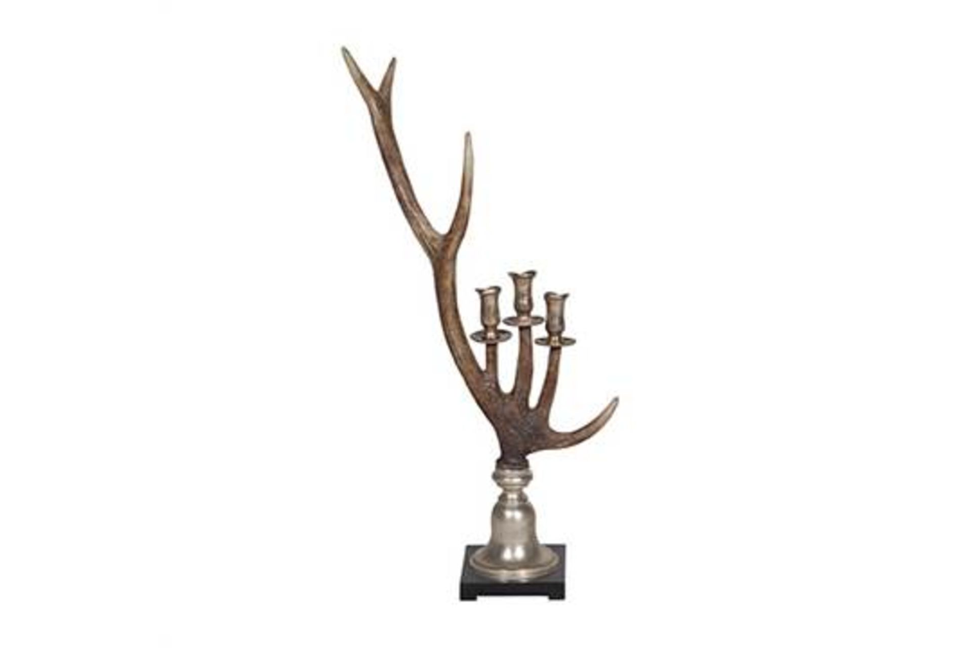 A pair of Antler Candle Holders