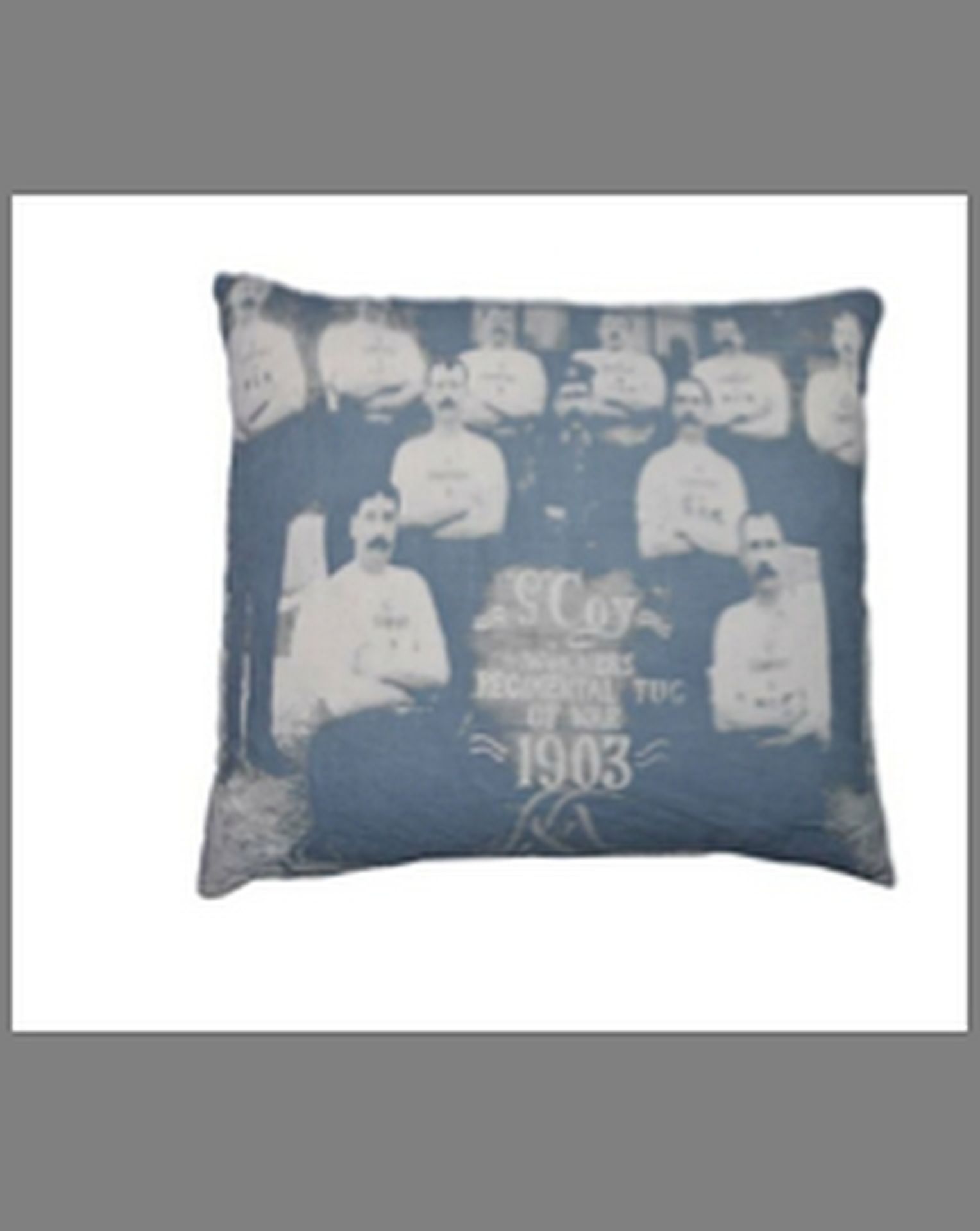 Tug Of War Cushion Large (X1)