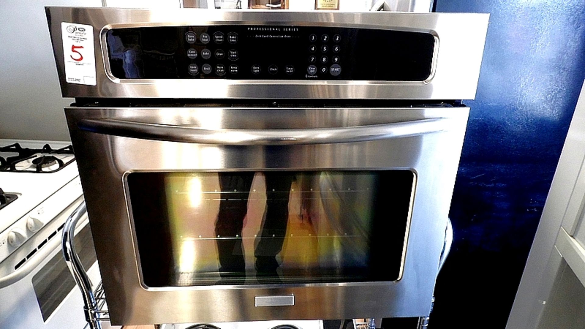 PROFESSIONAL SERIES OVEN (WORKING)