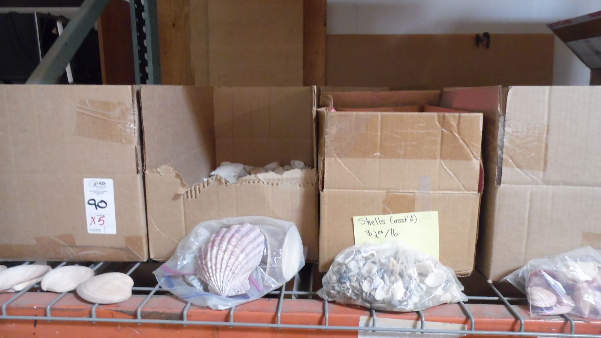 BOXES OF ASSORTED SHELLS