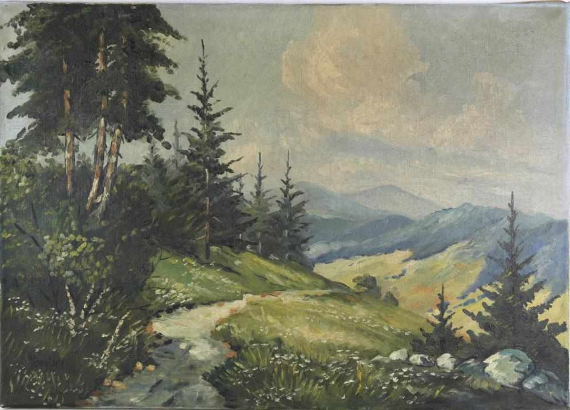 Bartsch, R. XX. Jh. Schwarzwaldmaler. Blick auf Gipfel an einem Sommertag. Öl auf Leinwand. Unten