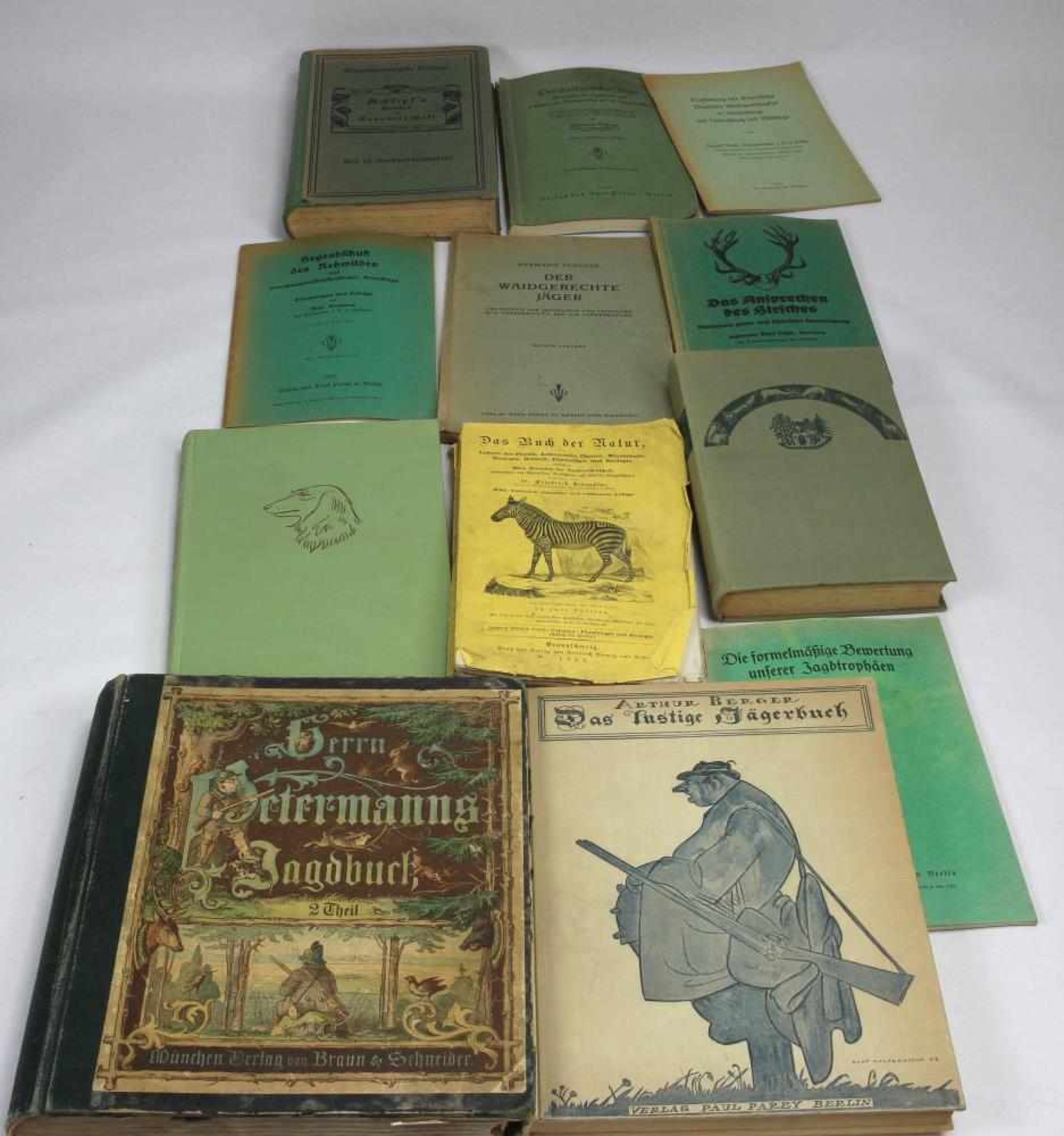 Konvolut Bücher. 12 Bücher zum Thema Jagd und Natur. Gesamtgewicht ca.5, 3 kg.