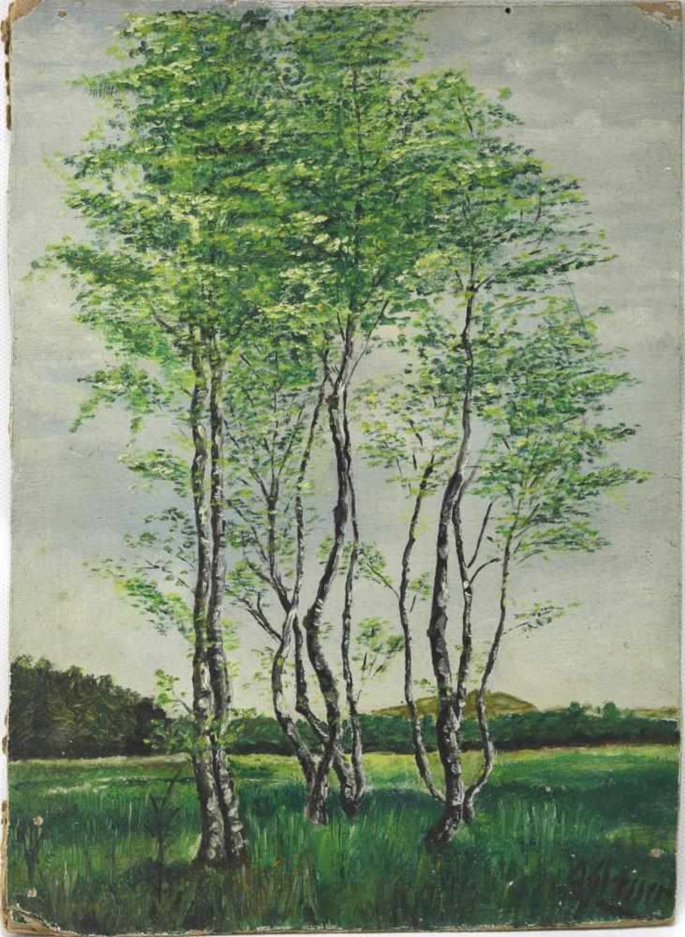 Gresser, O. Deutsch nach 1900. Birkengruppe in hügeliger Landschaft. Öl auf Platte. Unten rechts