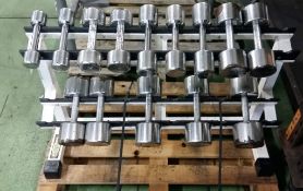 Technogym dumbells and weight rack - 3,4,8,12 & 20kg single dumbbells - 4x 7, 2x14 & 2x16k