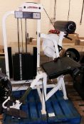 Life FItness Low Back Extension gym station