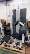 Technogym Lower Back R.O.M. gym station