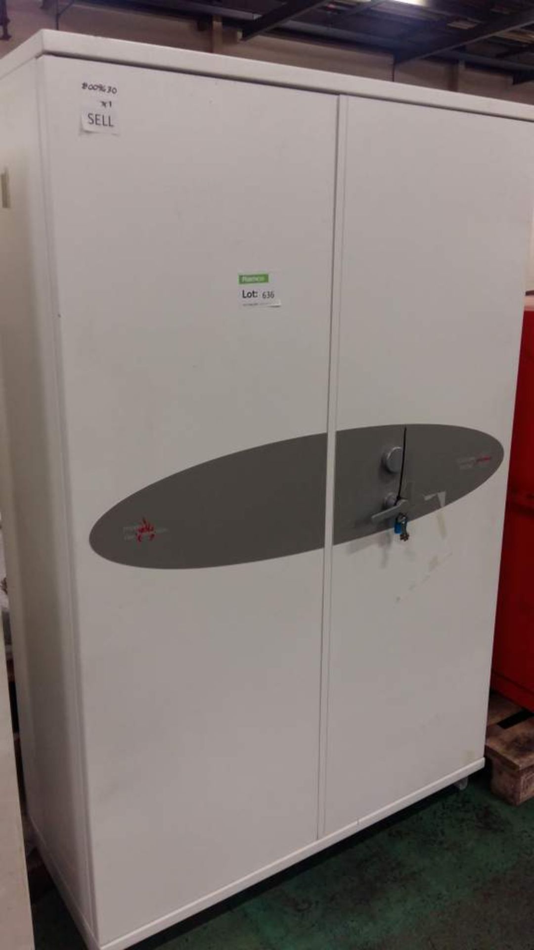 Phoenix fire protection storage cabinet