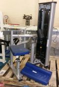 Paramount Biceps & Curl XL-600 gym station