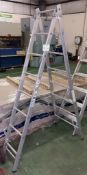 7 rung double ladder