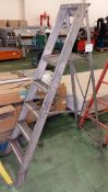 4 rung & platform step ladders