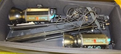 2x Bowens Espirit 500 studio lights, tripods in carry case