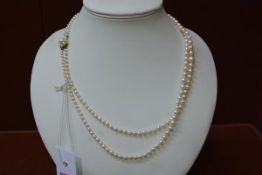 A cultured two strand graduated pearl necklace with 9ct gold cluster pearl fastening. Longer