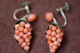 A pair of gilt metal hanging grape style pink coral bead drop earrings, fitted screw fastenings,