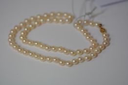A single strand cultured pearl necklace, of uniform pearls, on an openwork 14ct gold clasp. Length