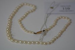 A single strand cultured pearl necklace, of graduated pearls, on a 9ct gold barrel clasp. Length