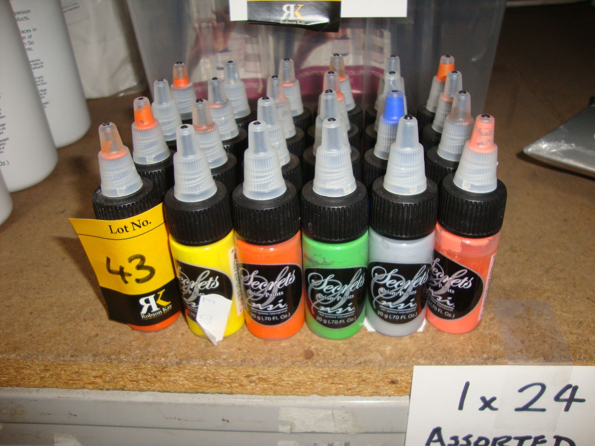 24 off 20gr bottles of NSI Secrets Prism Paints in assorted colours