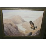 Philip Snow - Golden Eagle Over Loch Corvisk, Skye, watercolour. 8" x 6". Signed on front in