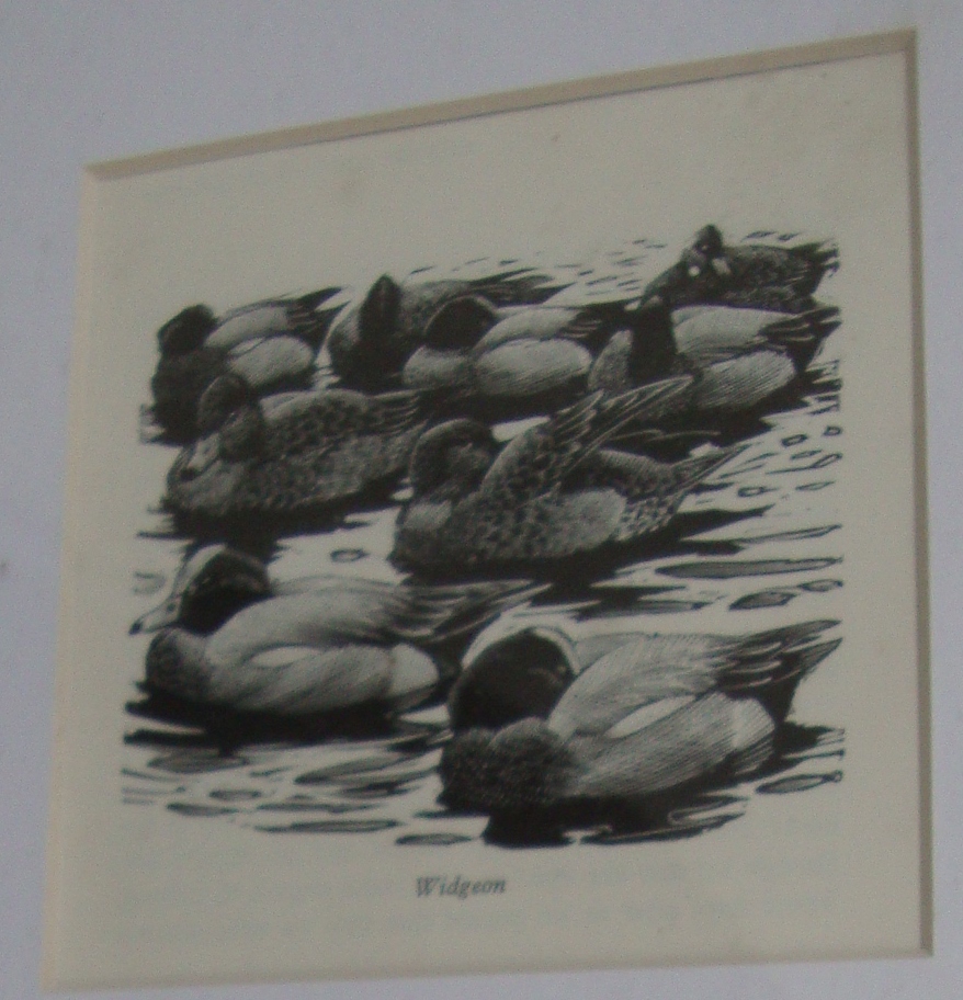 Charles Frederick Tunnicliffe RA (British, 1901-1979) - 16 woodcuts. Various sizes. All framed in - Image 3 of 20