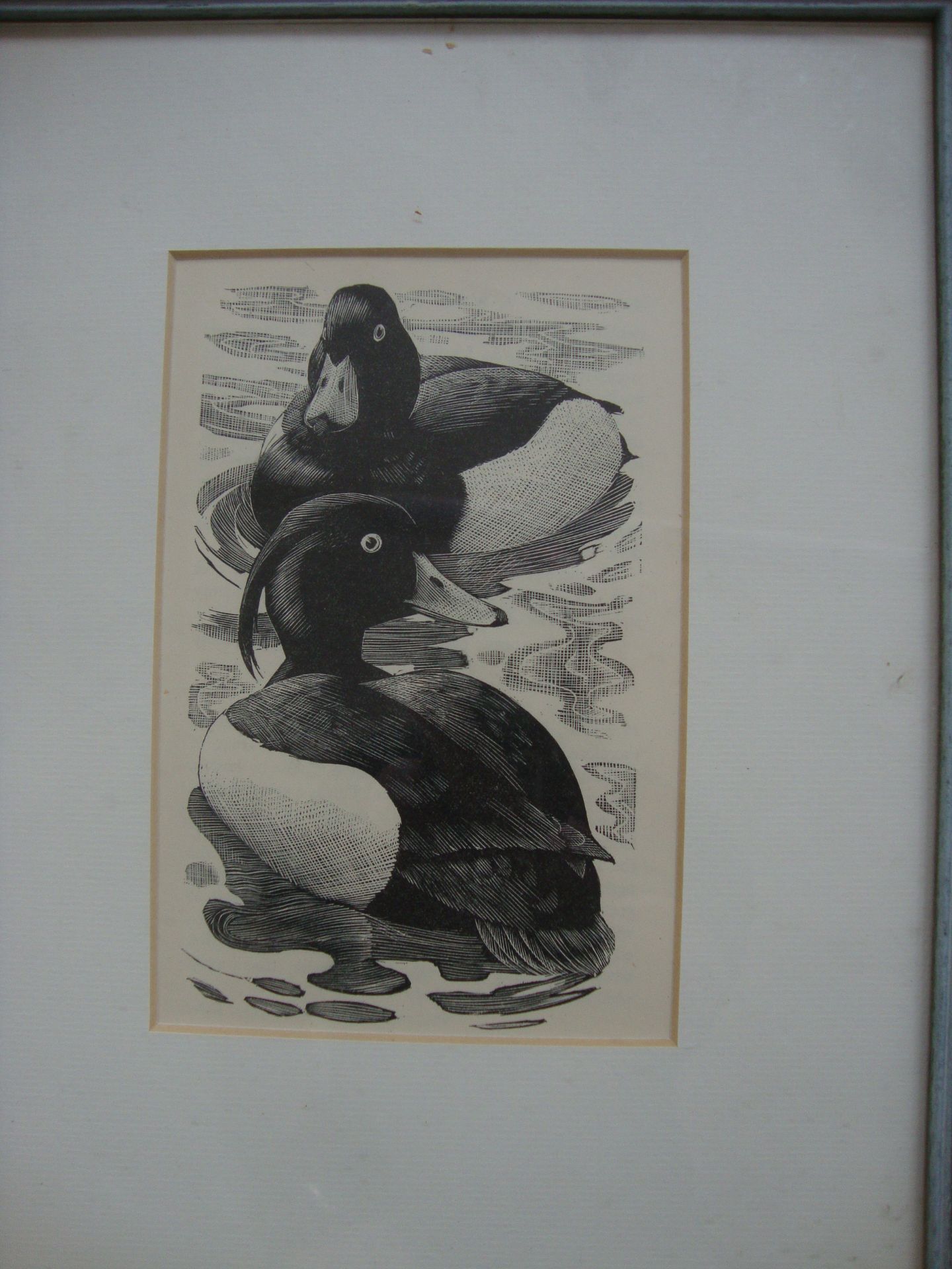 Charles Frederick Tunnicliffe - 7 etchings from Book of Birds. Various sizes from 3" x 3" to 6" x - Image 3 of 9