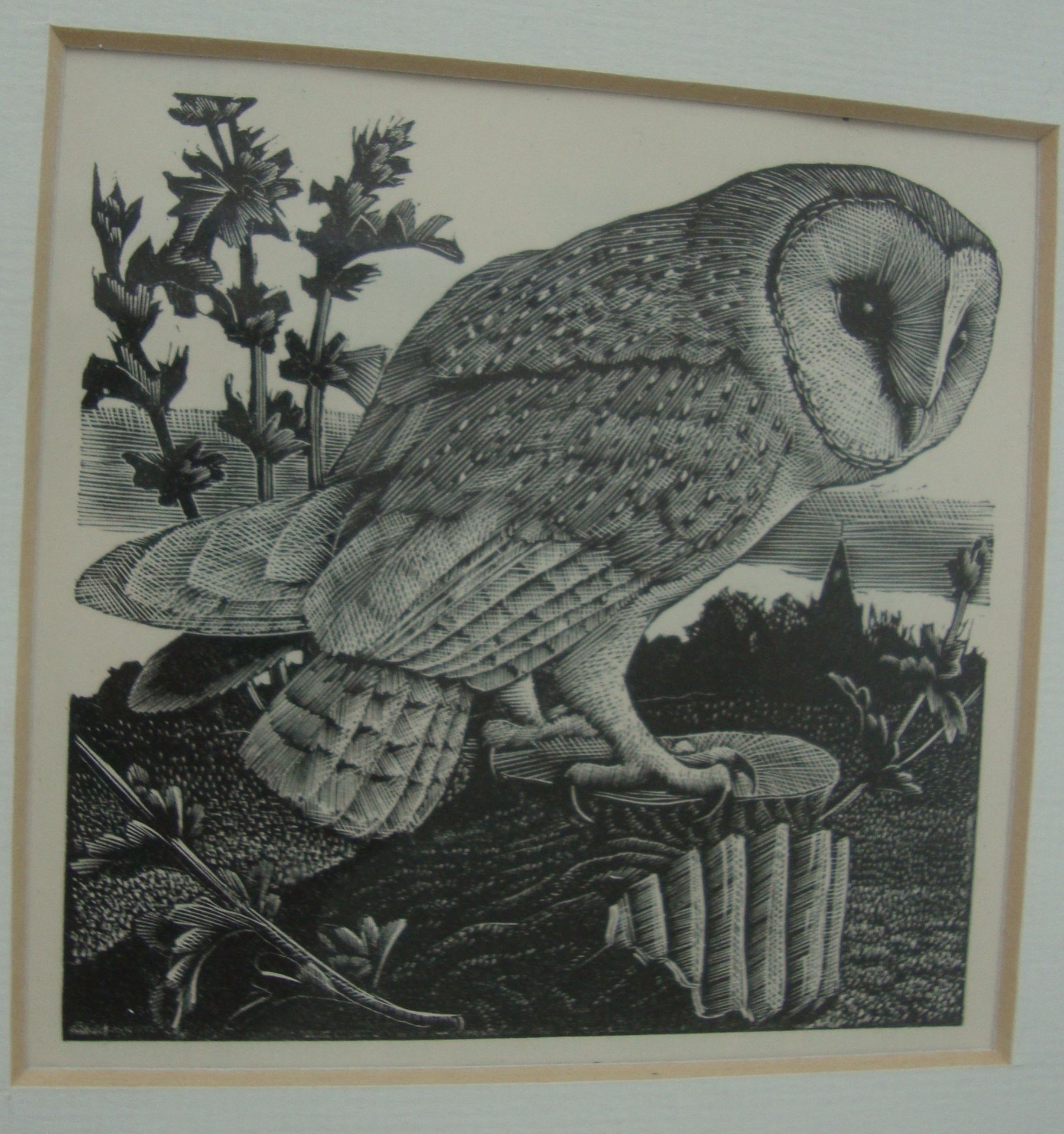 Charles Frederick Tunnicliffe - 7 etchings from Book of Birds. Various sizes from 3" x 3" to 6" x - Image 7 of 9