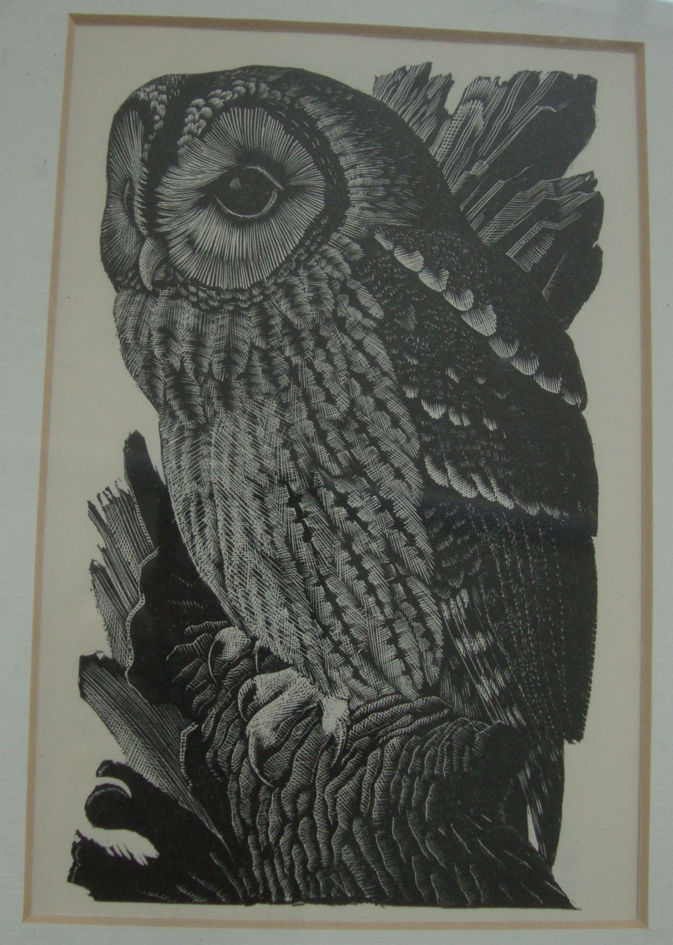 Charles Frederick Tunnicliffe - 7 etchings from Book of Birds. Various sizes from 3" x 3" to 6" x - Image 5 of 9