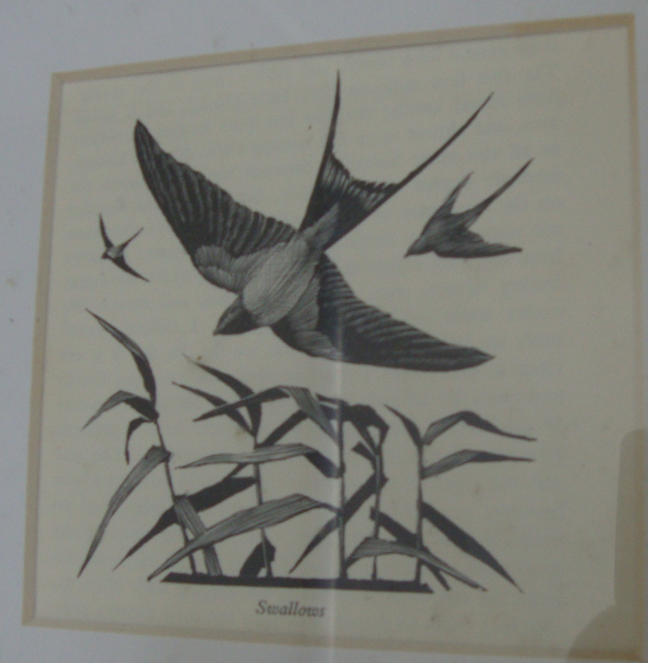 Charles Frederick Tunnicliffe RA (British, 1901-1979) - 16 woodcuts. Various sizes. All framed in - Image 6 of 20