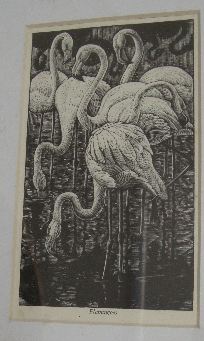 Charles Frederick Tunnicliffe RA (British, 1901-1979) - 16 woodcuts. Various sizes. All framed in - Image 4 of 20