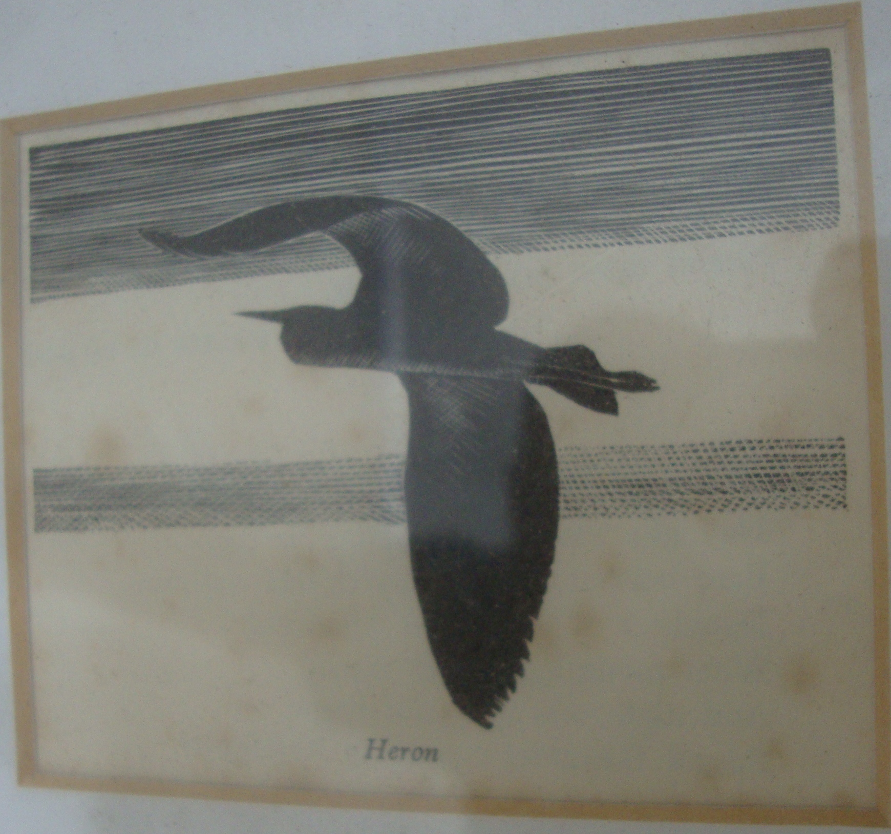 Charles Frederick Tunnicliffe RA (British, 1901-1979) - 16 woodcuts. Various sizes. All framed in - Image 7 of 20