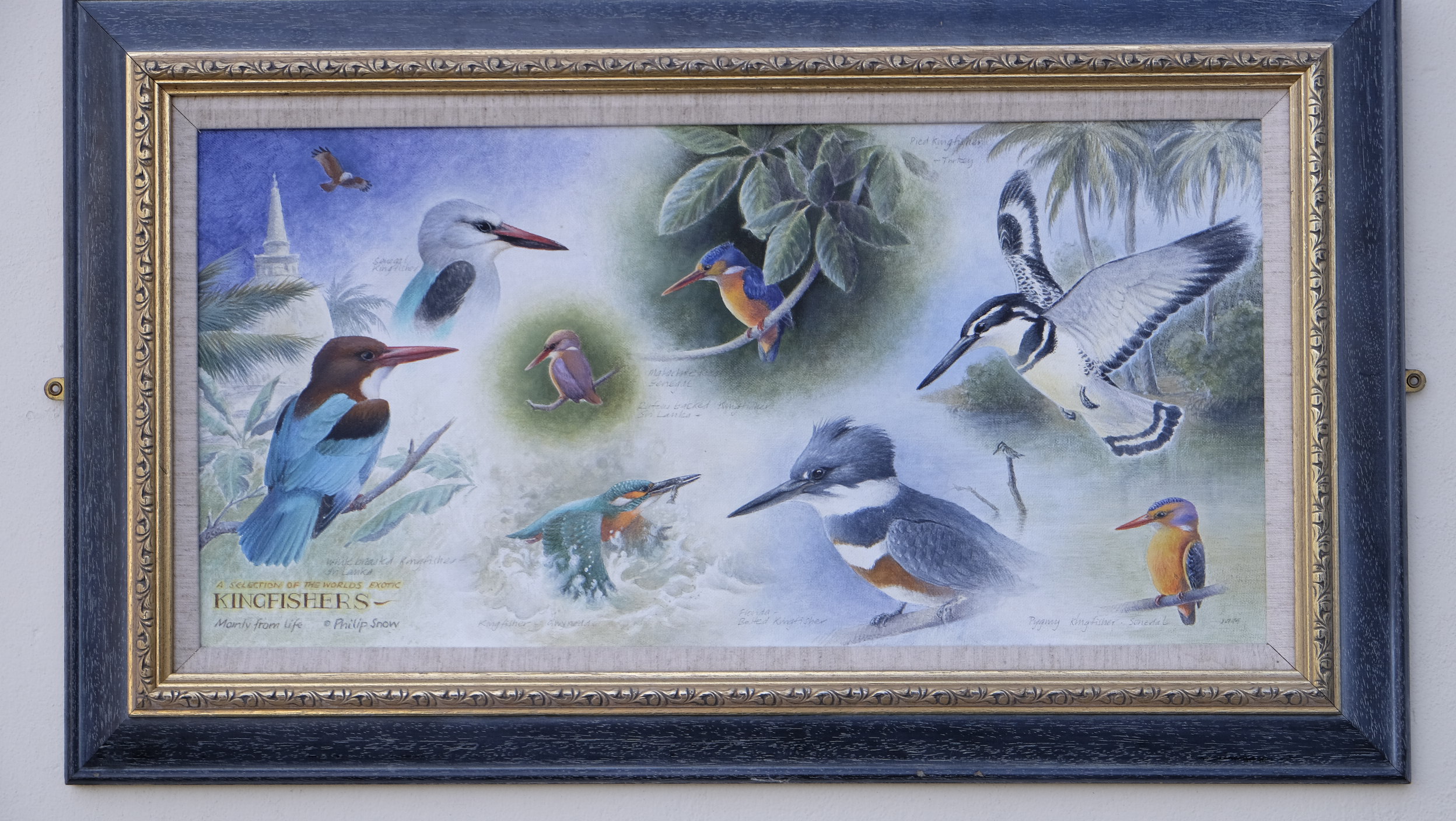 Philip Snow - Kingfishers, acrylic. 24" x 12". Signed and dated 1995 on front. Titled and signed