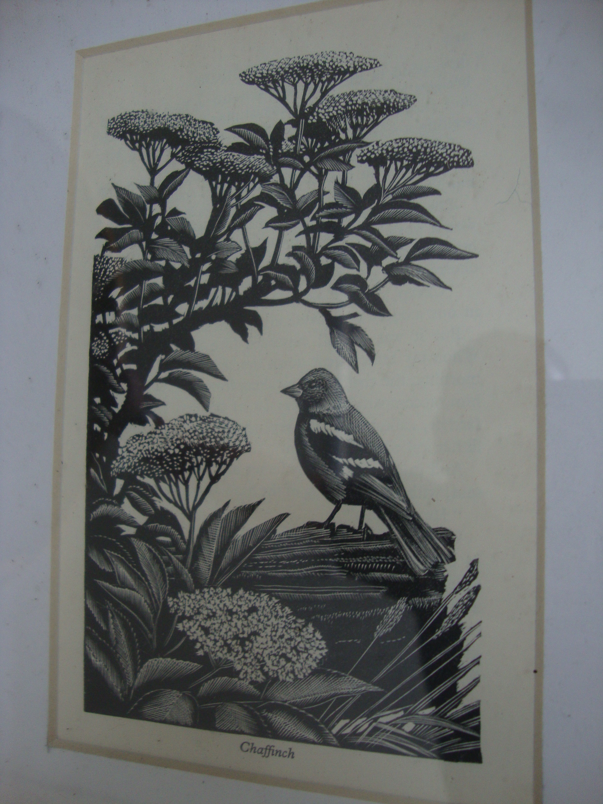 Charles Frederick Tunnicliffe RA (British, 1901-1979) - 16 woodcuts. Various sizes. All framed in - Image 8 of 20