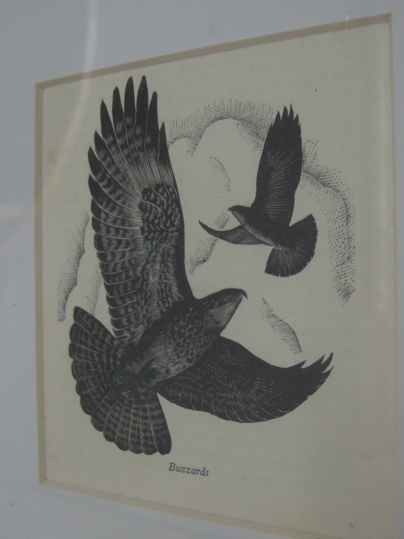 Charles Frederick Tunnicliffe RA (British, 1901-1979) - 16 woodcuts. Various sizes. All framed in - Image 14 of 20