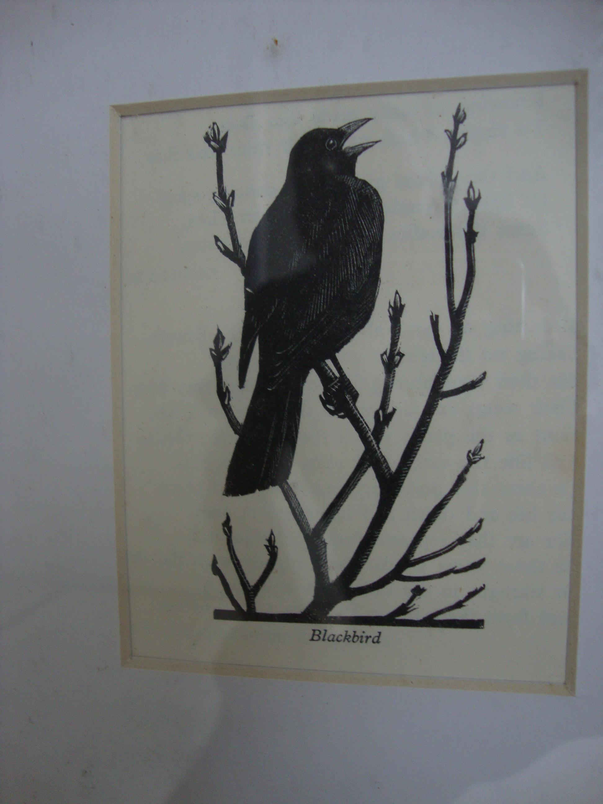 Charles Frederick Tunnicliffe RA (British, 1901-1979) - 16 woodcuts. Various sizes. All framed in - Image 16 of 20