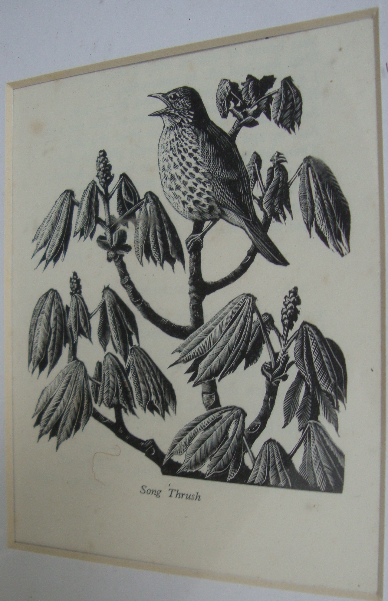 Charles Frederick Tunnicliffe RA (British, 1901-1979) - 16 woodcuts. Various sizes. All framed in - Image 10 of 20