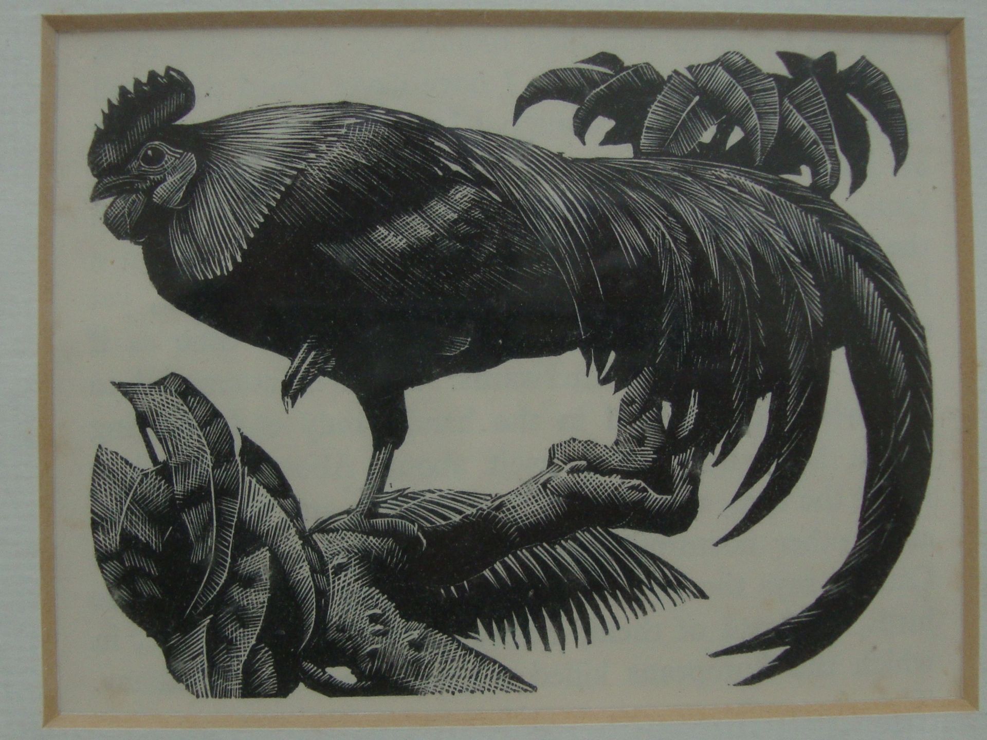 Charles Frederick Tunnicliffe - 7 etchings from Book of Birds. Various sizes from 3" x 3" to 6" x - Image 9 of 9