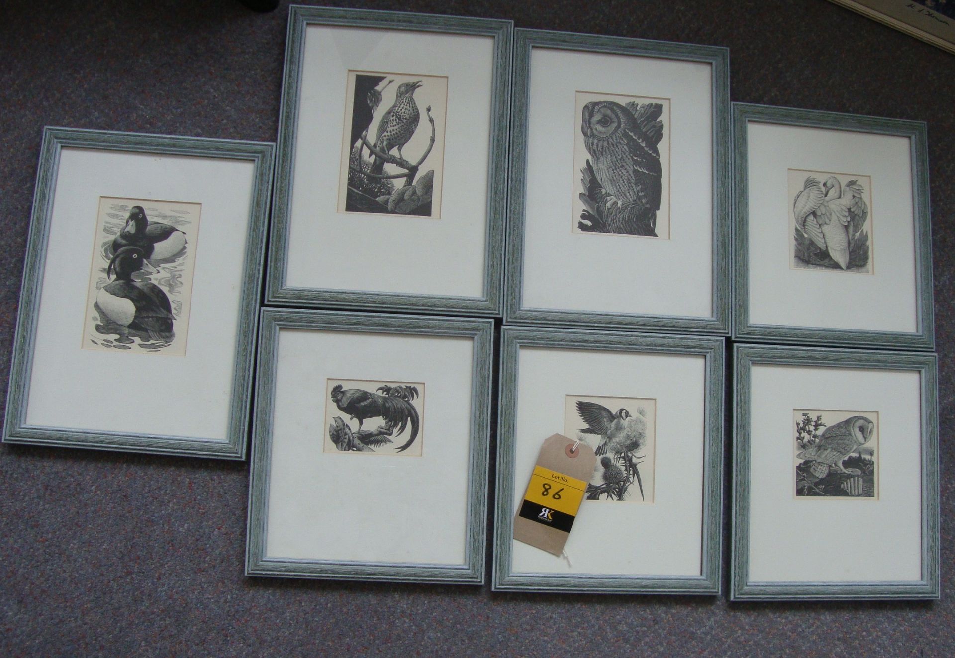 Charles Frederick Tunnicliffe - 7 etchings from Book of Birds. Various sizes from 3" x 3" to 6" x