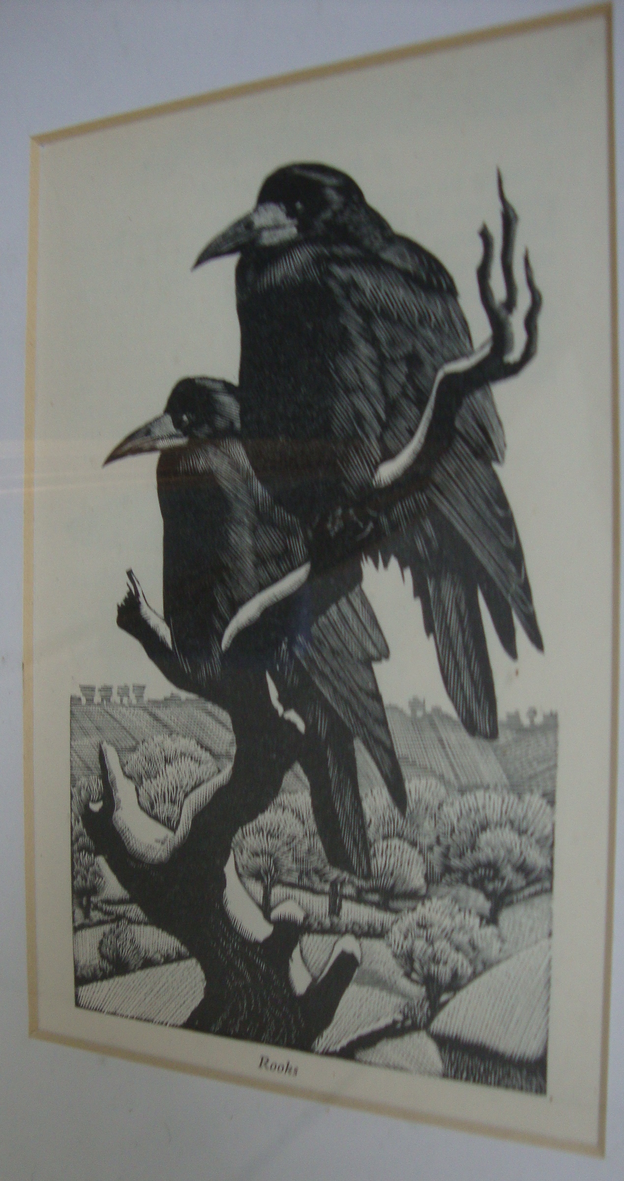 Charles Frederick Tunnicliffe RA (British, 1901-1979) - 16 woodcuts. Various sizes. All framed in - Image 11 of 20