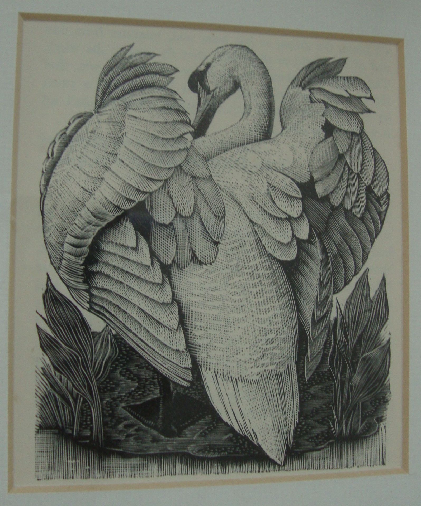 Charles Frederick Tunnicliffe - 7 etchings from Book of Birds. Various sizes from 3" x 3" to 6" x - Image 6 of 9