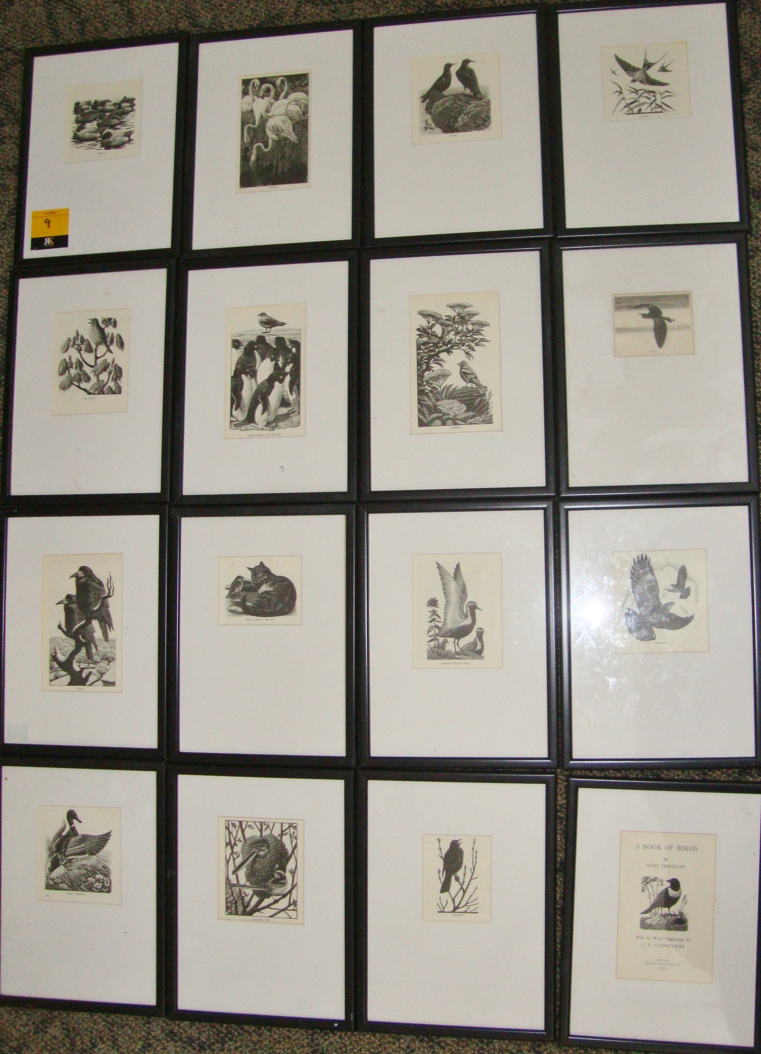 Charles Frederick Tunnicliffe RA (British, 1901-1979) - 16 woodcuts. Various sizes. All framed in - Image 19 of 20