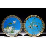 A pair of Japanese cloisonne chargers with birds, Meiji, 19th C. Dia.: 30,5 cm Condition reports and